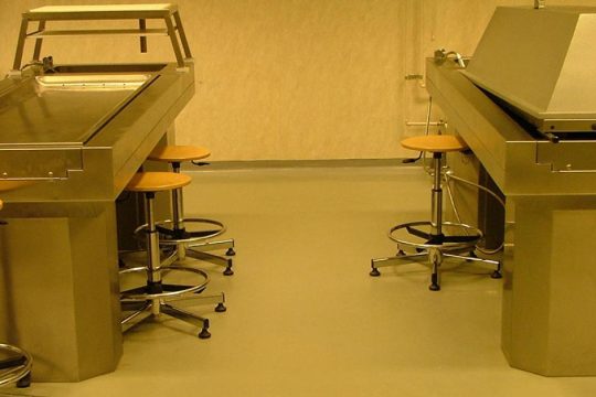 Απ’ τους νεκρούς, στη μούρη μας